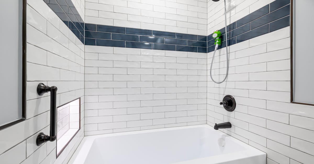 Aging in place bathroom remodel southwest florida